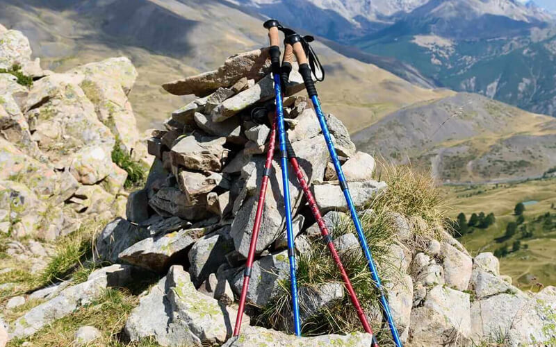 Kilimanjaro trekking poles